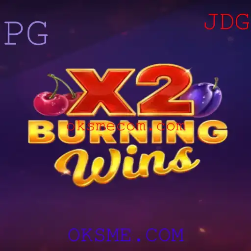Explorando o Fascinante Mundo de BurningWinsX2