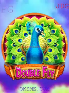 Explorando o Mundo do Jogo DoubleFly